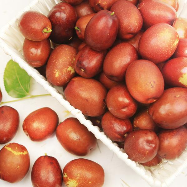 보은생대추 2020햇대추 1kg 고당도 고품질 가을 선물용 건강한 영양간식 비타민C 과일 : 에이로드몰