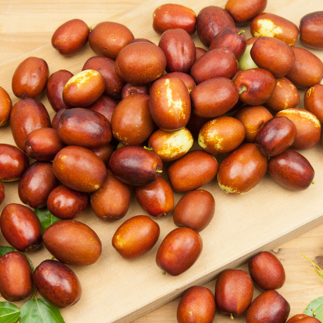 2021년 햇대추 보은 생대추 1kg 고품질 고당도 10월 제철과일 보은대추축제 : 가사도매상점