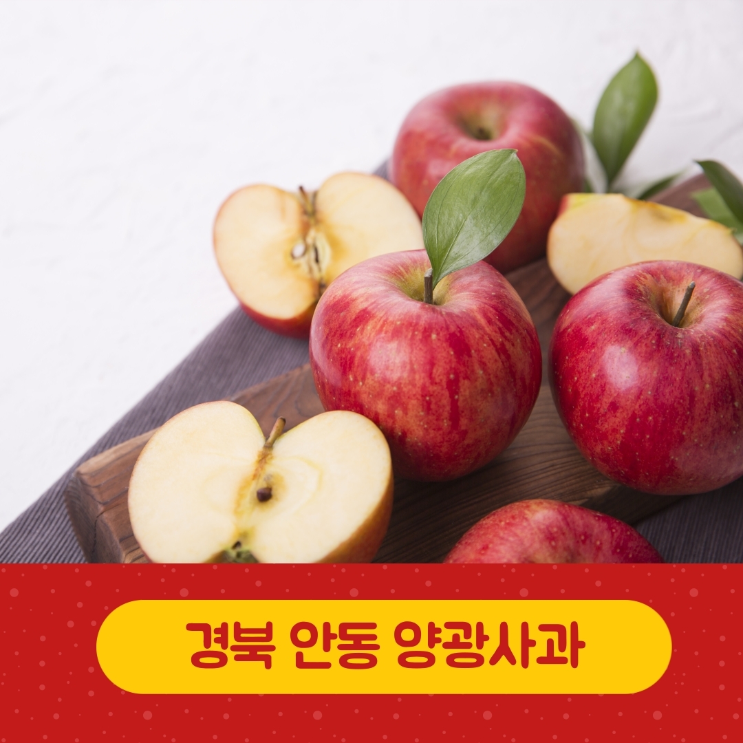 고당도 경북안동 양광 사과 5kg 10kg 20kg : 달콤한제이네