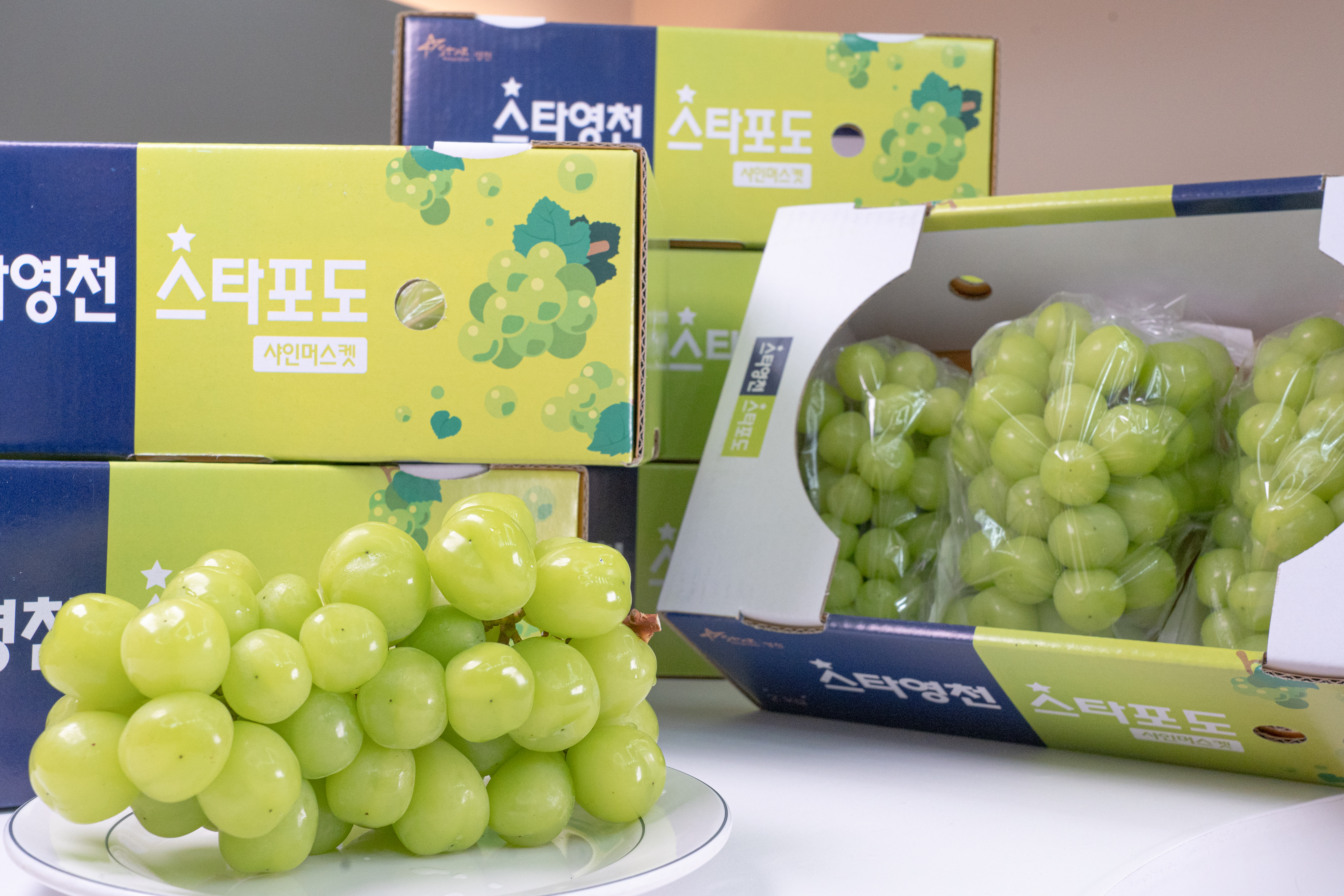 [영천 프리미엄 특등급] 샤인머스켓 2kg : 민생상회