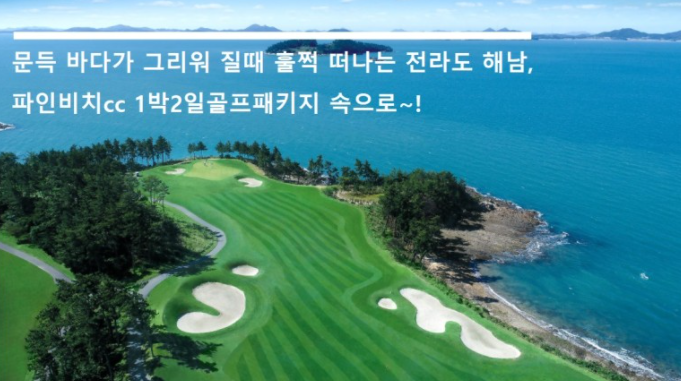 파인비치cc1박2일골프패키지 : 세이브투어- 황수진차장