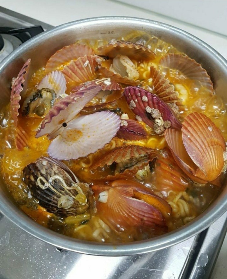 [현지 직송] 싱싱한 통영단풍 홍가리비 3kg 5kg 10kg : 부산떡방앗간