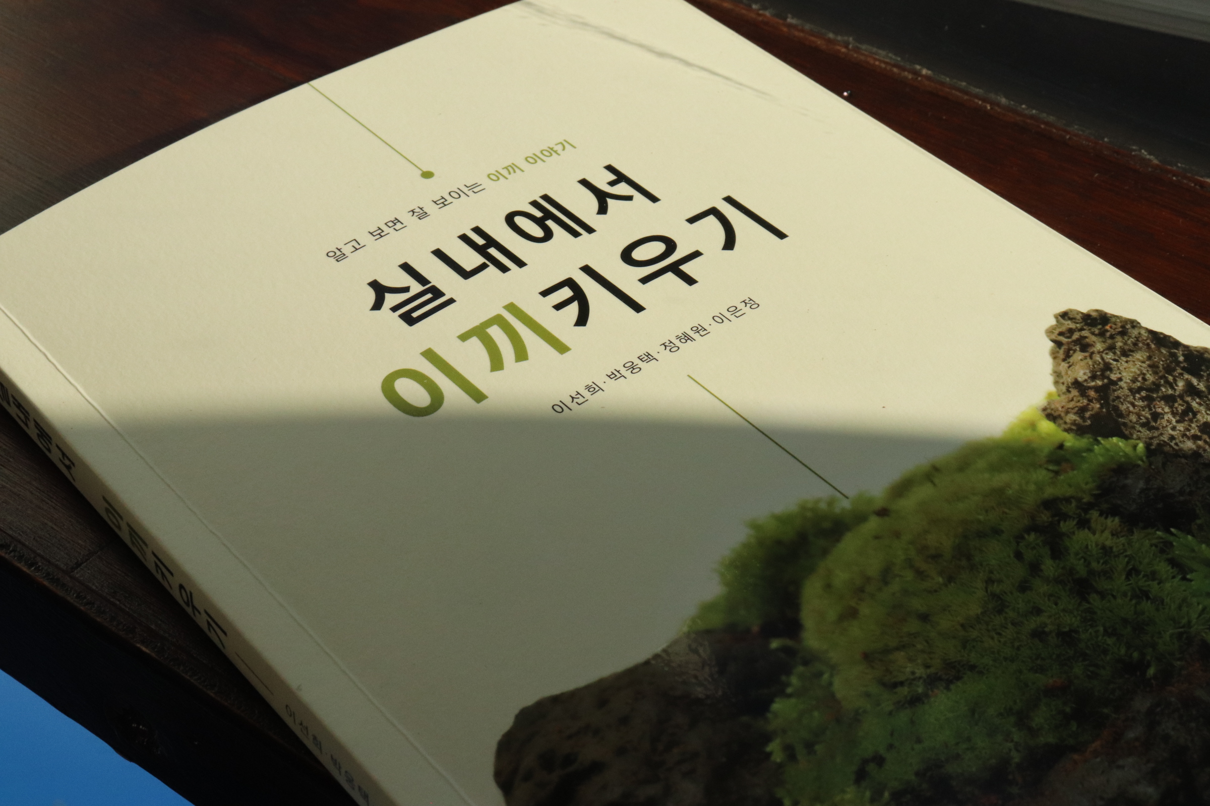 실내에서 이끼 키우기 비오토프 갤러리 삭 : 비오토프 갤러리