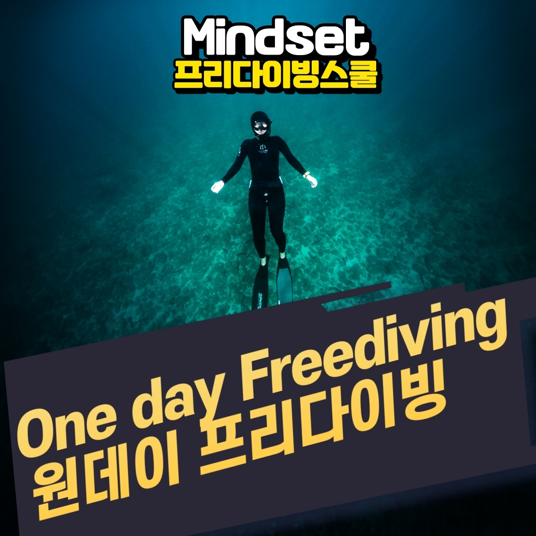 프리다이빙원데이클래스모집, 프리다이빙 [슈퍼레저강습센터,마인드셋](프리다이빙강습) : 시즌스쿨