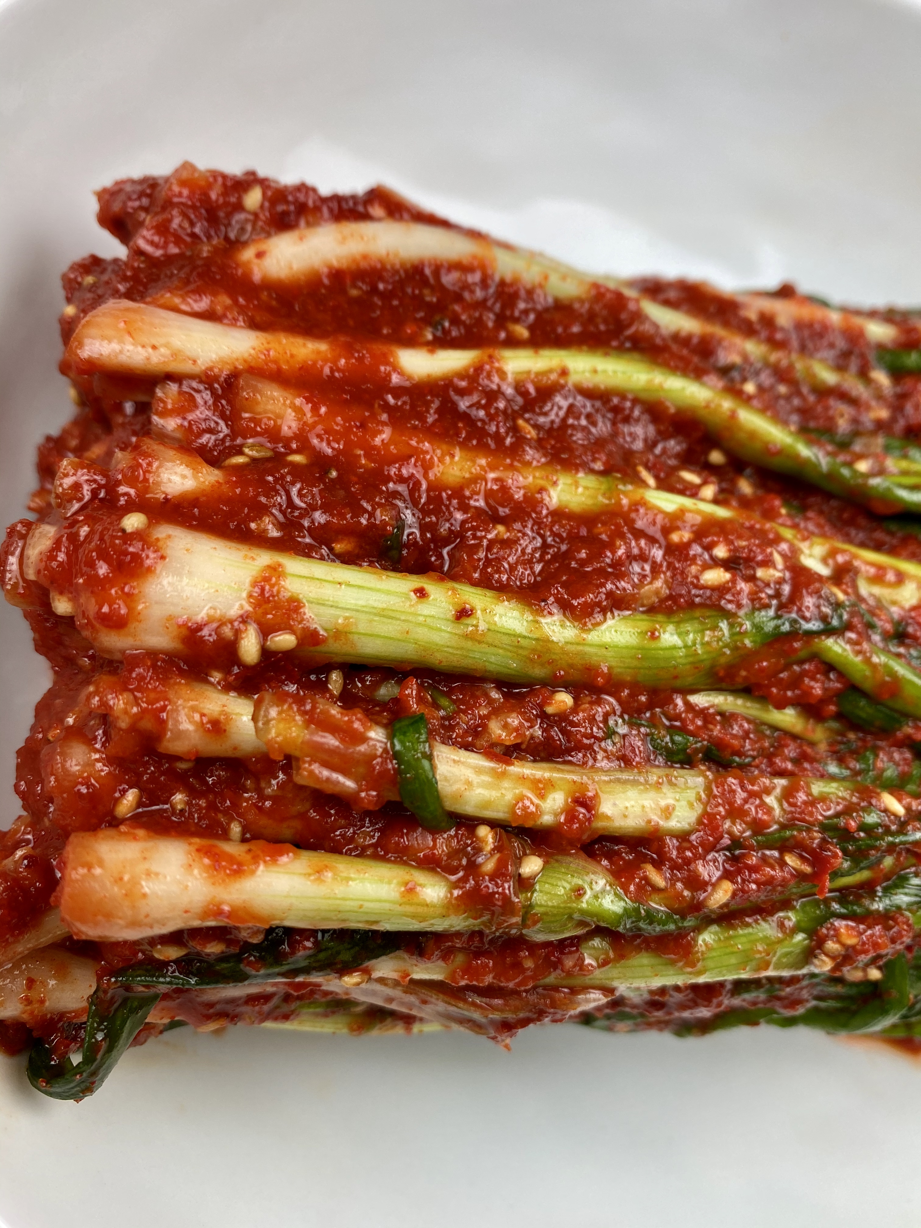 갓담은 서울파 당일생산 깔끔하게 맛있는 젓갈이 안들어간 쪽파김치 1kg : 순자네김치
