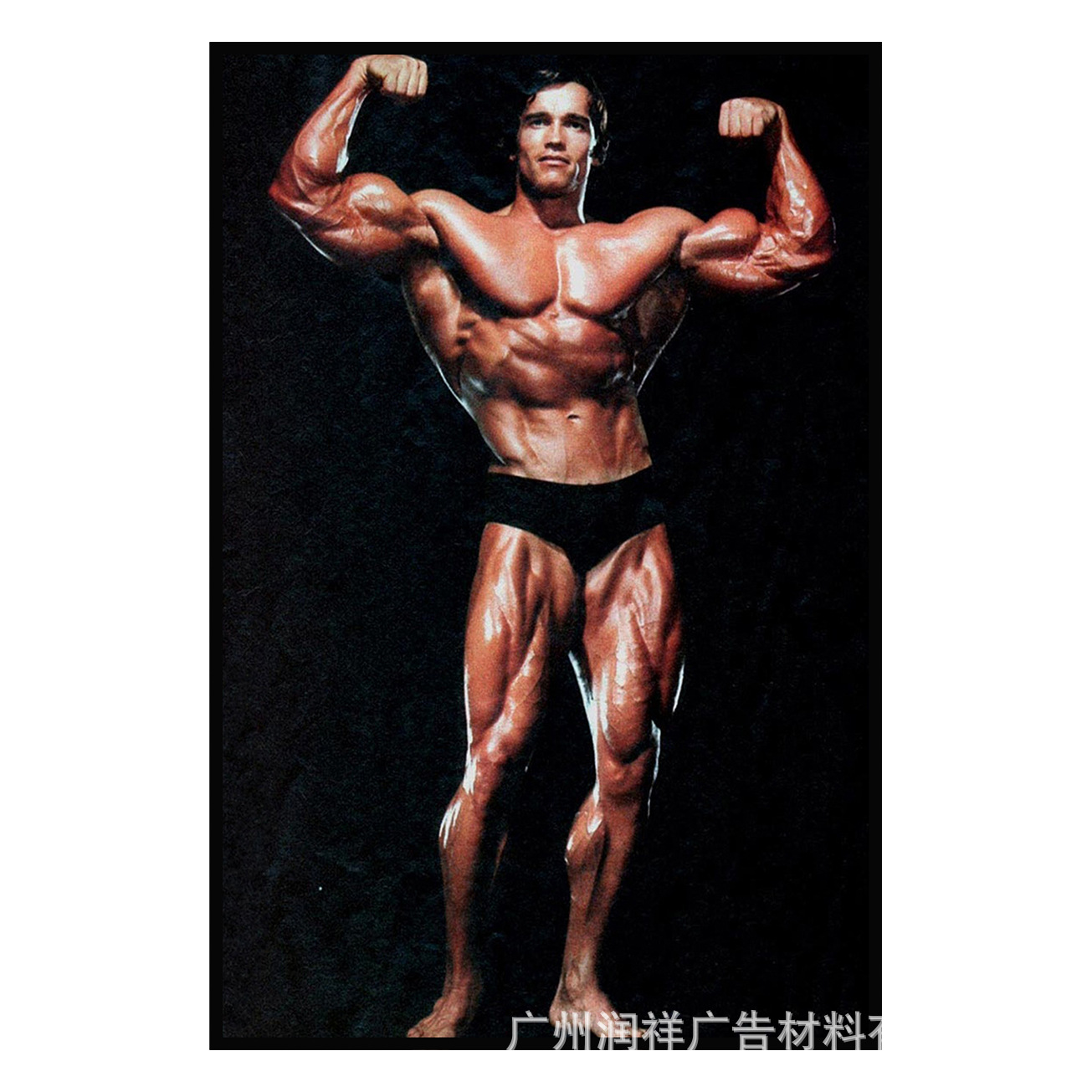 Q23 51cm x 36cm 아놀드 슈왈즈제네거 보디빌더 다이어트 운동자극 사진 포스터 : 어가네닷컴 NPNG