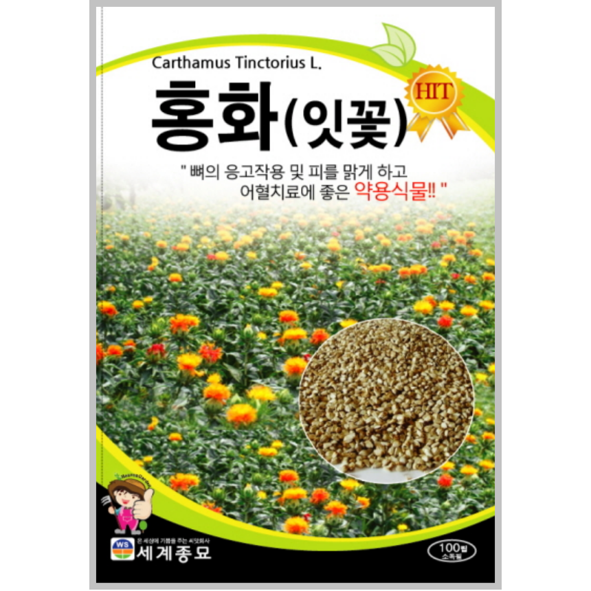 홍화 씨앗 100립 잇꽃 약용 텃밭 키우기 종자 : 근소텃밭