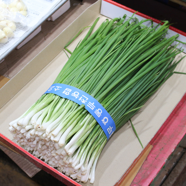 [부천시 배달] 활용만점 쪽파 1.8kg [원미종합 대림상회] : 동네시장 장보기