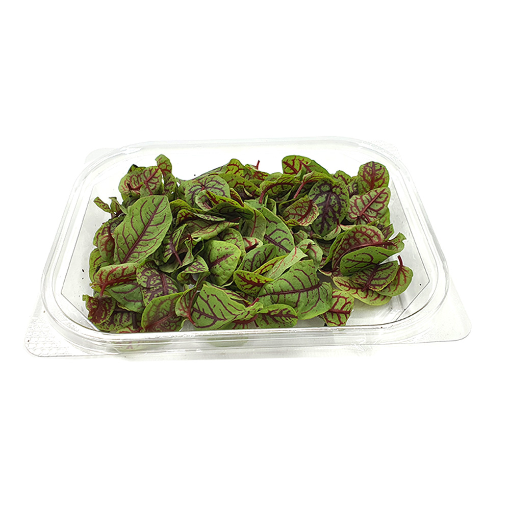 야채왕 쏘렐 1팩 : 야채왕