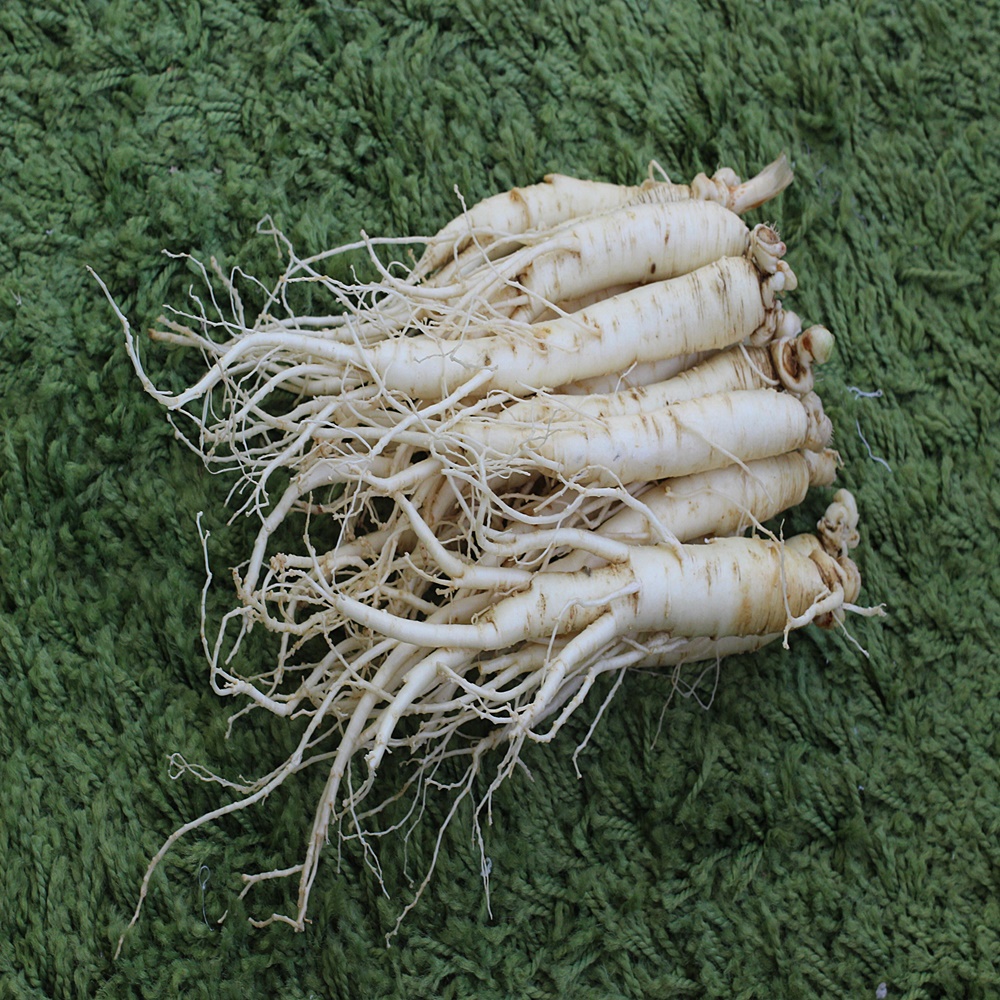 금산인삼 5년근 6년근 삼계세척인삼(700g) : 쌍둥이네인삼