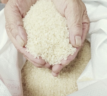 전통방앗간 떡국떡 국내산 햅쌀로만든 1.5kg : 화순애떡집