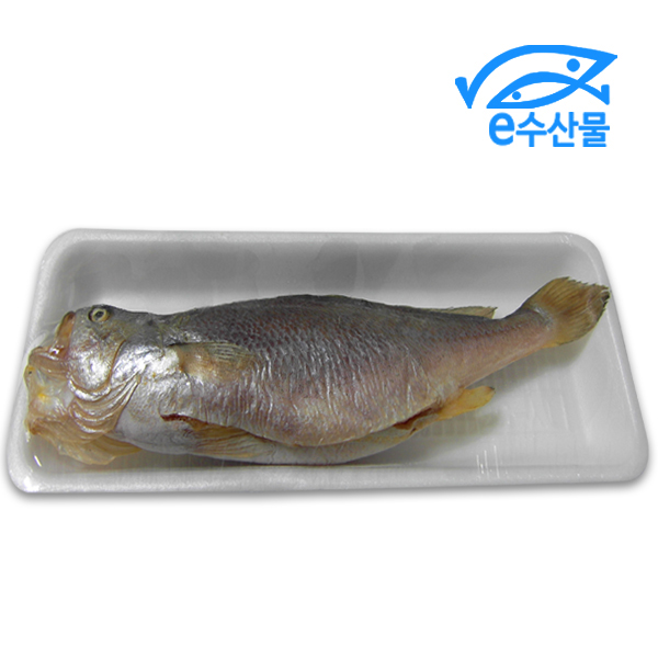 마산어시장 제수용 반건조 부세조기대 부세 말린조기 제사용생선 제수생선 마른부세 굴비 부세 특대30cm : e수산물