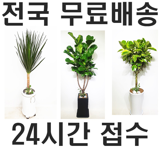 양산꽃가게 : 미래꽃배달 전국꽃배달서비스
