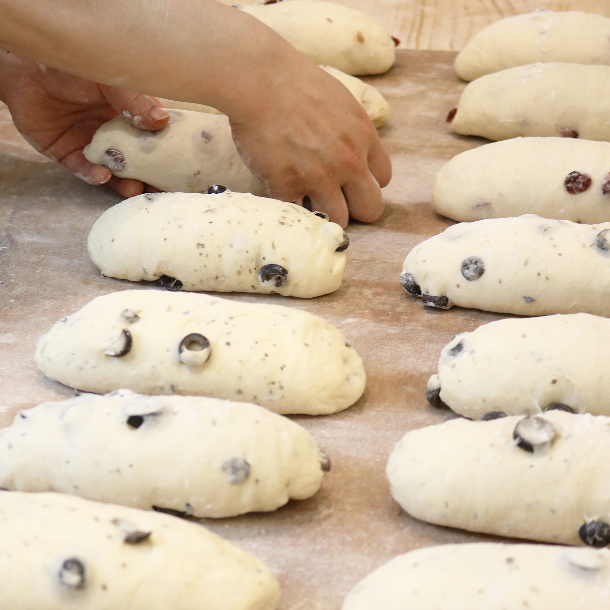 [유기농밀] 블랙올리브 치아바타 : 침착하고 느린손