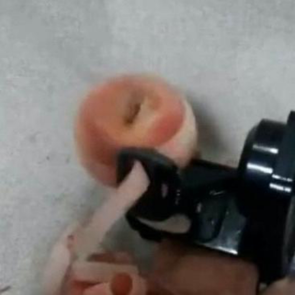 과일깎는기계 과일깎는법 사과 감 배 깎기 깎이 : 잉글랜드