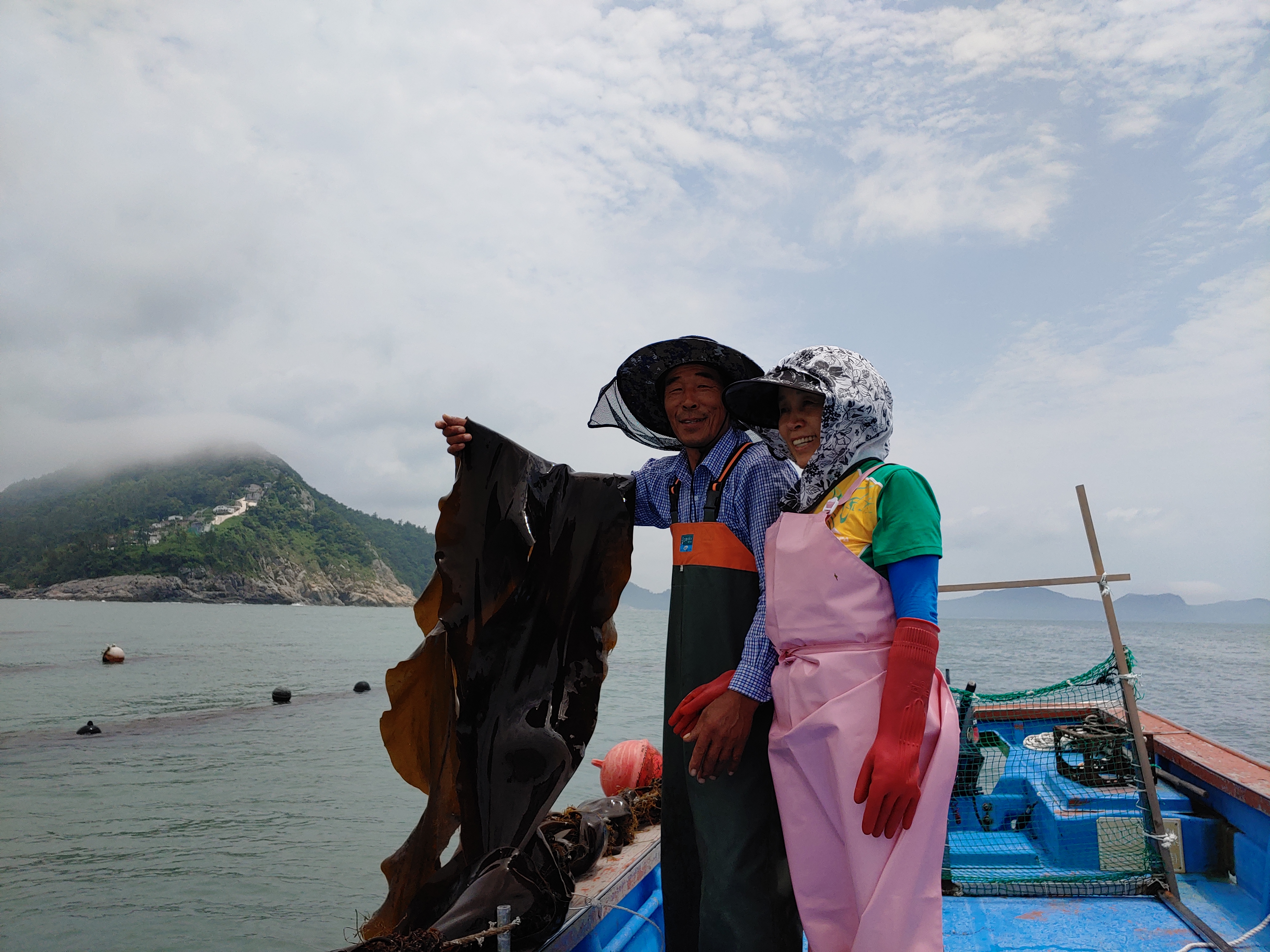 진도 친정 다시마 300g(N마트 입점제품) : 진도귀성아리랑상회