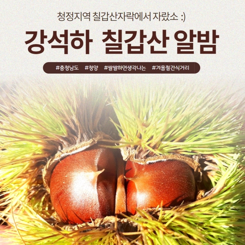 칠갑산 국산 국내산 알밤 요리 4KG 맛있는 밤 : 오키드몰