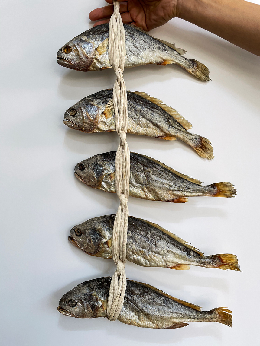 법성포 영광 보리굴비 5미 27cm 이상 명절 선물세트 참조기 마른굴비 집반찬 밥도둑 : 행복이넘치는상점