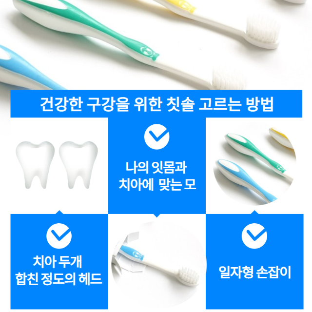 어린이 곰돌이 치과 칫솔 12개입 S&G 에스엔지 24개월 유아 초등학생 두돌아기 칫솔 : 가사도매상점