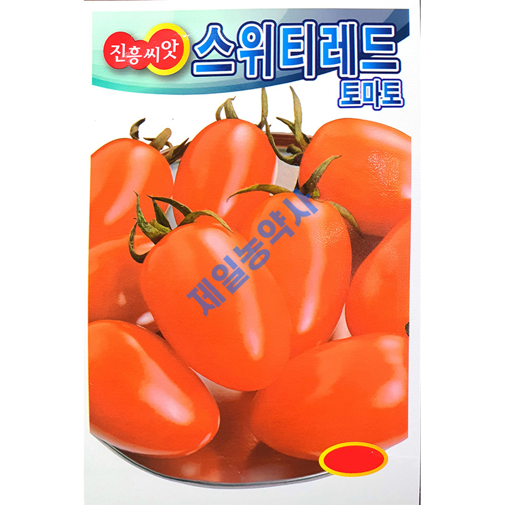 스위티레드대추토마토씨앗 20립 : 제일농약사