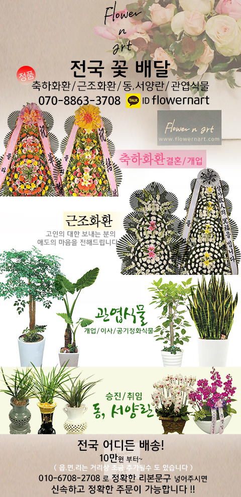 축하/근조화환/관엽식물 : 플라워앤아트
