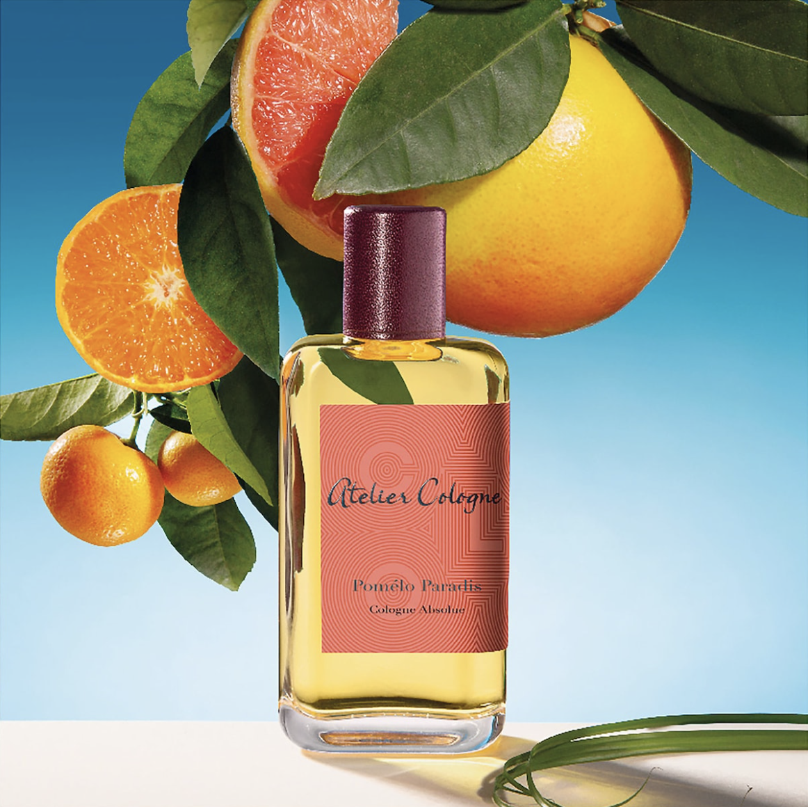 아뜰리에 코롱 포멜로 파라디 바디로션 아틀리에 코롱 Atelier Cologne : 비주얼러