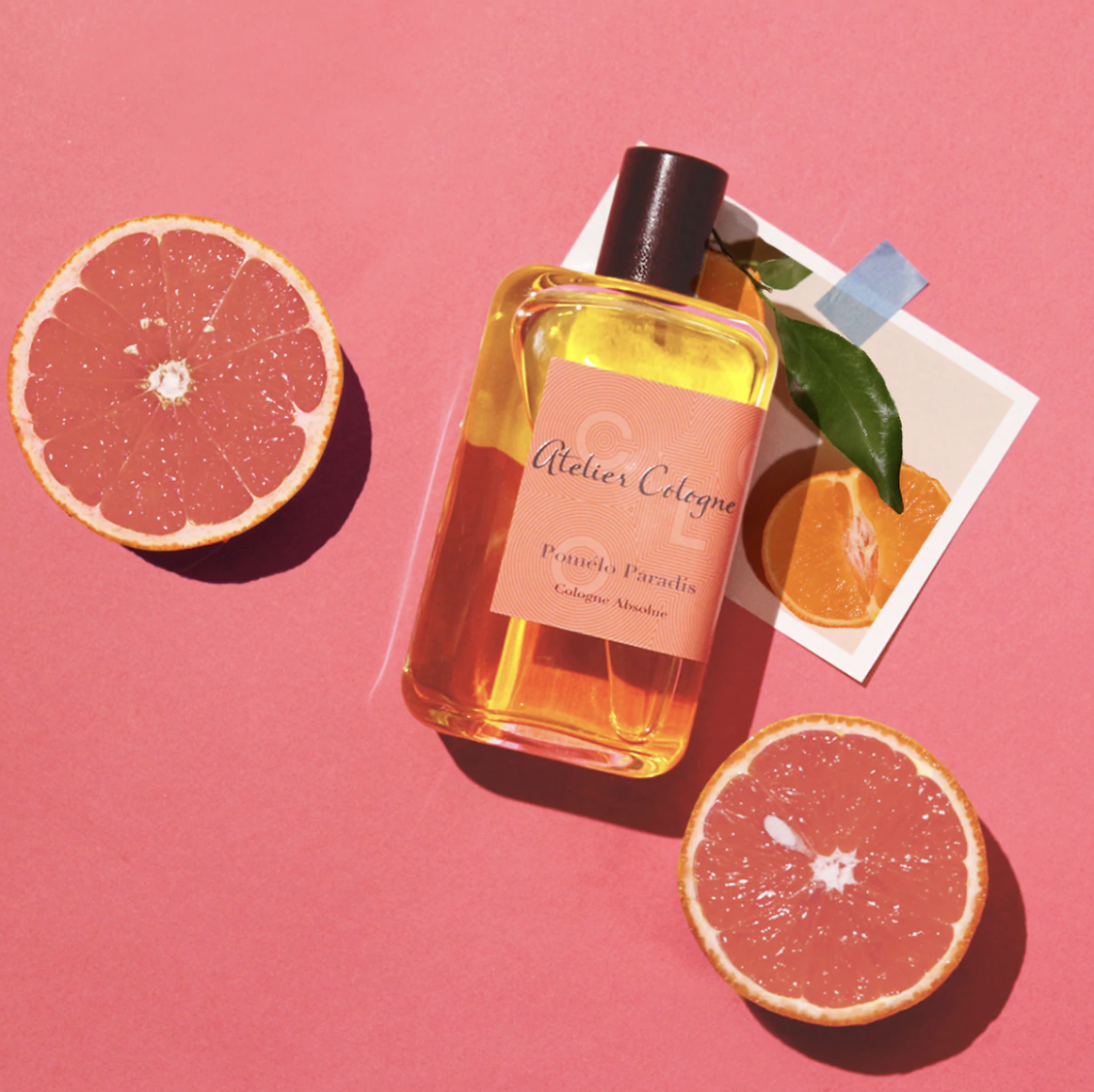 아뜰리에 코롱 포멜로 파라디 바디로션 아틀리에 코롱 Atelier Cologne : 비주얼러
