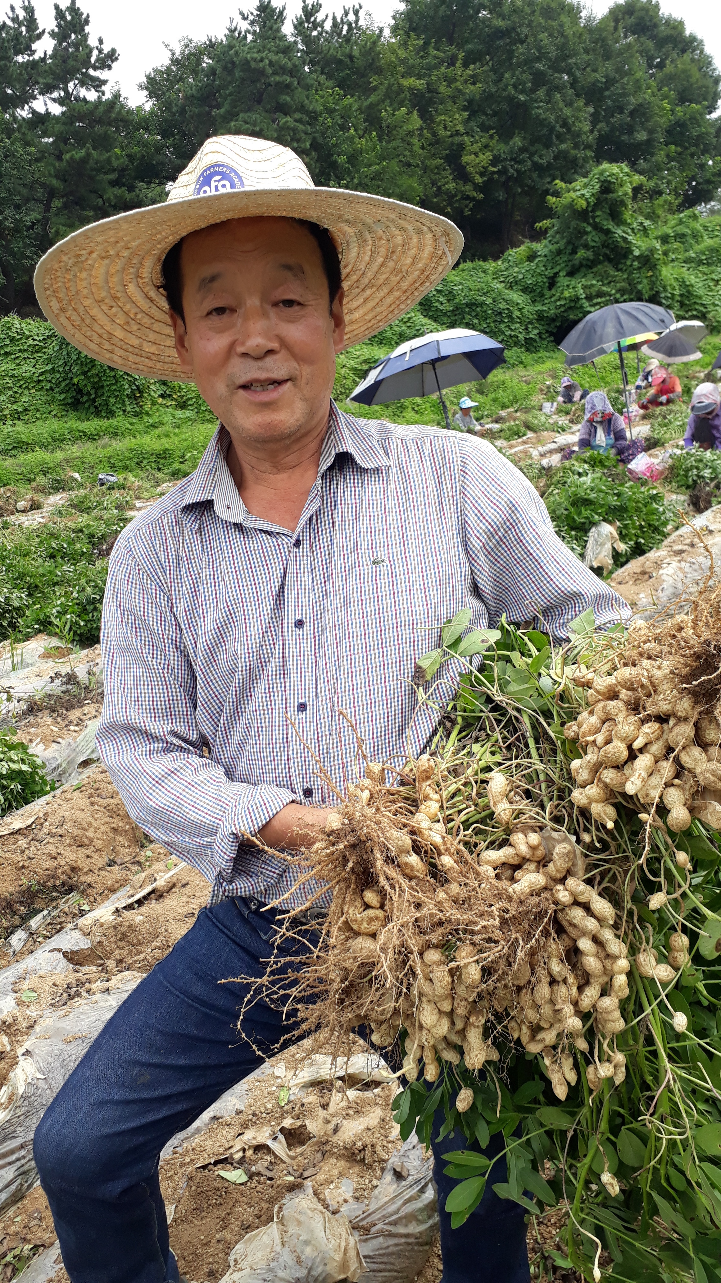 예천 두레농장 땅콩 2kg : 민생상회