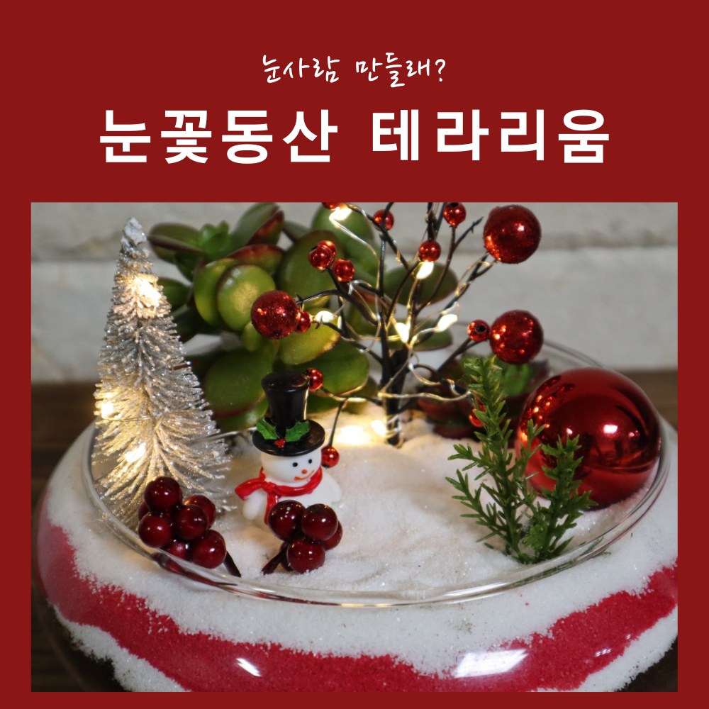 원예키트 눈꽃동산 테라리움  아이들놀이 원예체험 : 꽃사이소