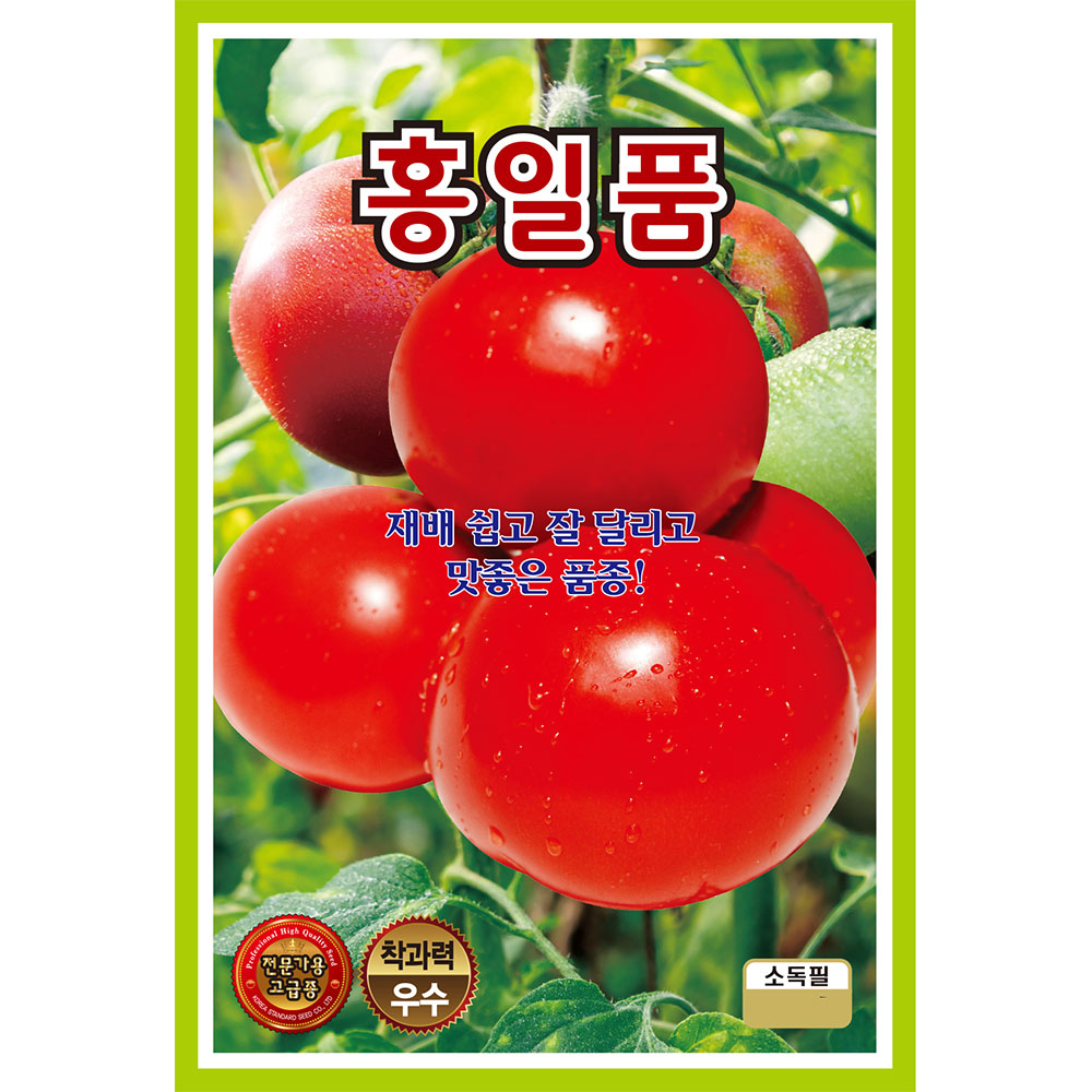 홍일품 50립 : 중앙종묘농약사