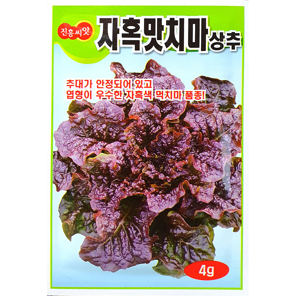 자혹맛치마 상추 4g : 중앙종묘농약사