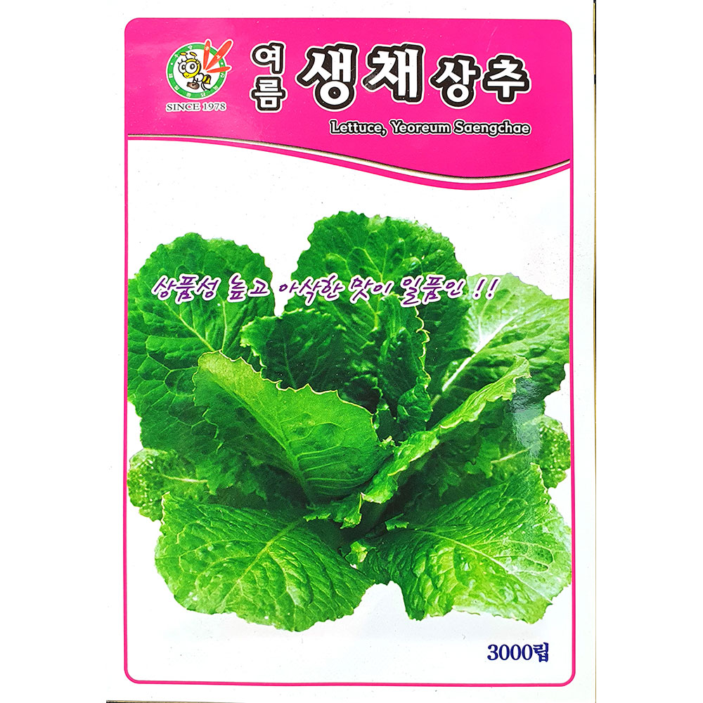 여름생채상추 2000립 : 중앙종묘농약사
