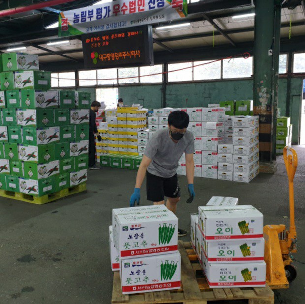 오이고추 국내산 아삭이고추 풋고추 1kg 2kg 5kg : -클릭마켓-
