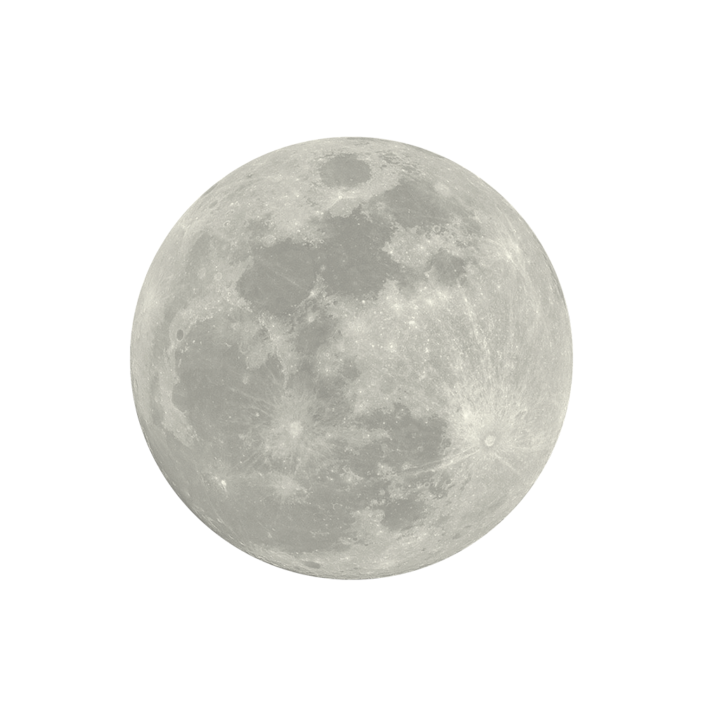 [달에 어울리는 향] MOOON 문 섬유향수 6종 : MOOON