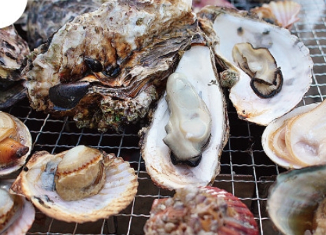 산지직송 최상급 통영 석화 각굴 3kg / 5kg : 달봉수산