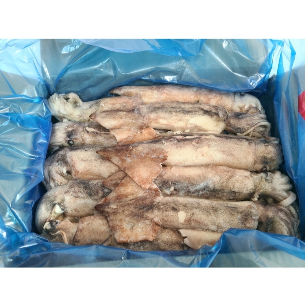 냉동 오징어 베이트 오징어 10미 3kg 1박스 식당/가게/업소용 : 대길푸드