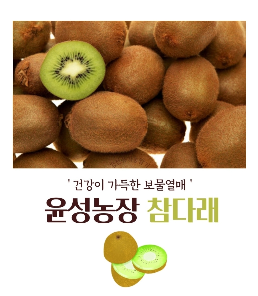 참다래 그린키위 헤이워드 3Kg 22과 ~ 25과 내외 나주 윤성농장 산지배송 : 해피굿팜