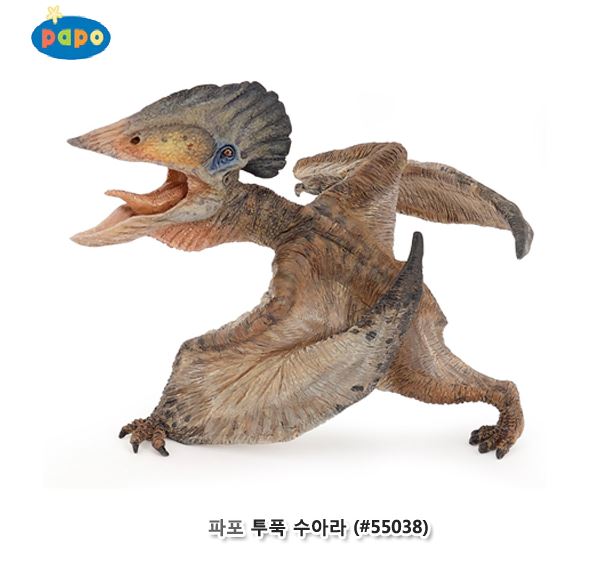 [파포] 투푹 수아라 공룡시리즈 모형완구 피규어 : 일리마 마켓