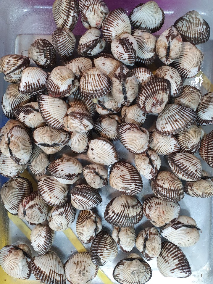 벌교산 꼬막 1kg : 은혜수산몰