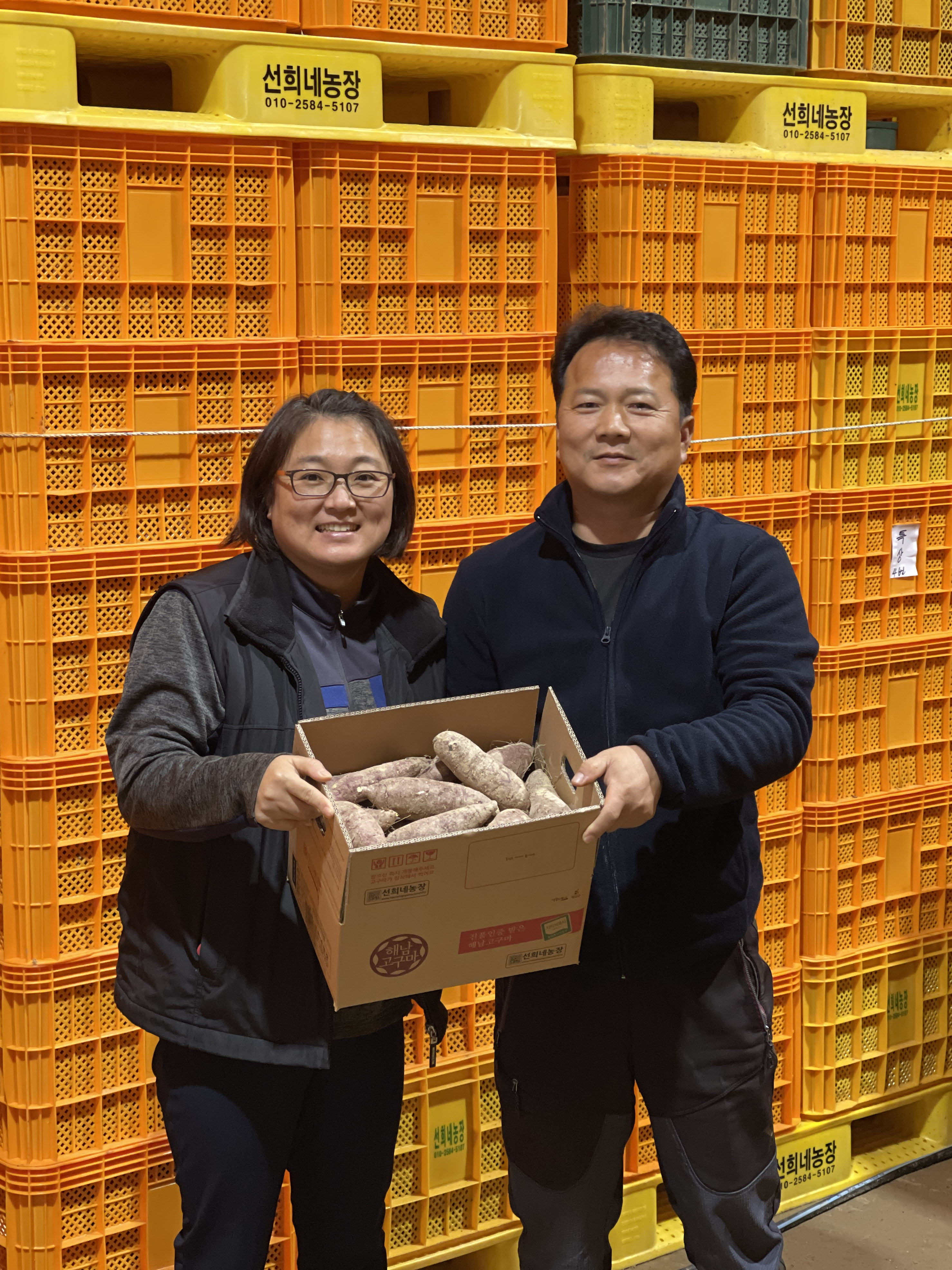 2024년 수확한 선희네농장 꿀고구마 5kg 특상, 진품 해남 고구마 : 해남고구마생산자협회