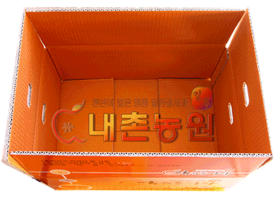 [B품사과] 얼음골사과 10kg 껍질째 먹는 GAP, 저탄소 농법으로 생산된 후지 사과 : 내촌농원