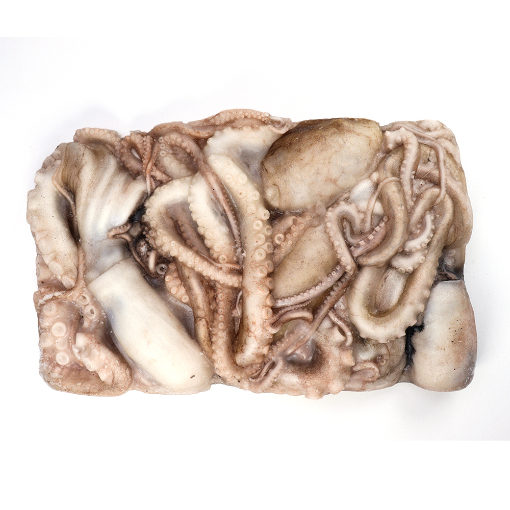 냉동 활낙지 낚지 4미 850g : 와우수산