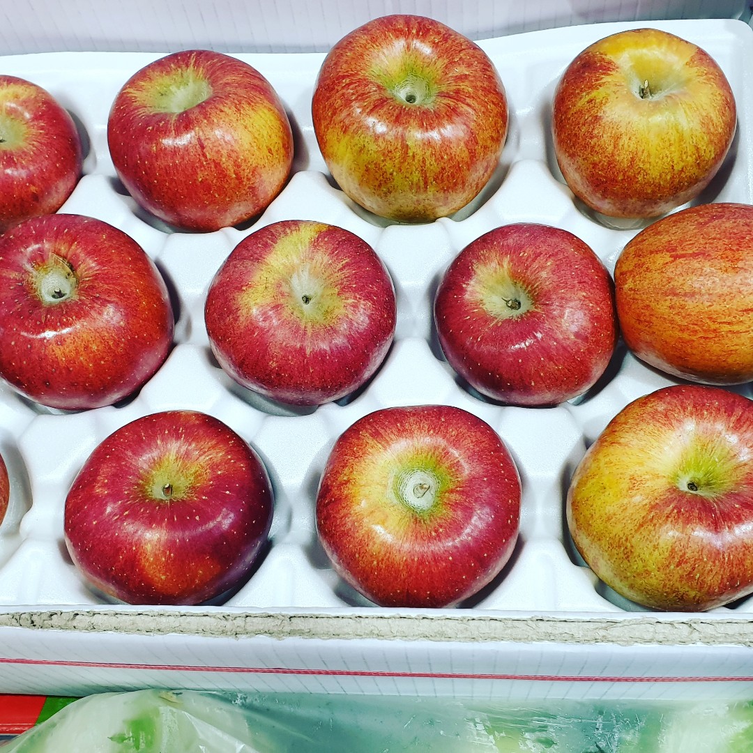 껍질채 먹는 거창 꿀 사과 5kg : 거창한상회