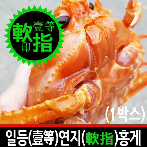 1박스 구룡포 연지홍게 대게 시세 영덕 울진 포항 속초 강구 후포리 제철 택배 일등농수산 : 일등수산 울릉몰 일등농수산