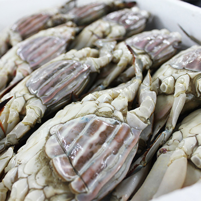 서해안 무다리 몽당 암꽃게 1kg+1kg / 2kg포장 /외 옵션선택 : 아빠의앞치마
