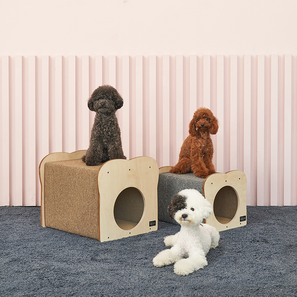식빵굽냥 고양이 강아지 하우스 숨숨집 : 스윗캣