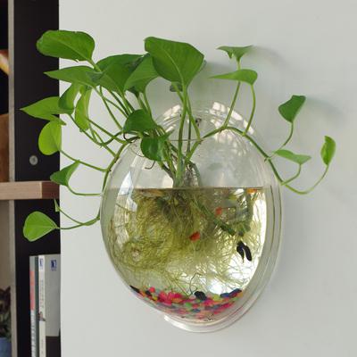 플라스틱화분 벽걸이 화분수배 후크란 꽃병식물 녹라분경 녹식분재화기플라 : 와이오엔스토어