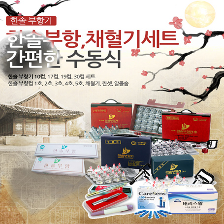 한솔부항기 고급형 19컵 +스텐사혈기 +란셋100P세트 부항기모음 소행복 수동식 부황기 : 태리메디칼