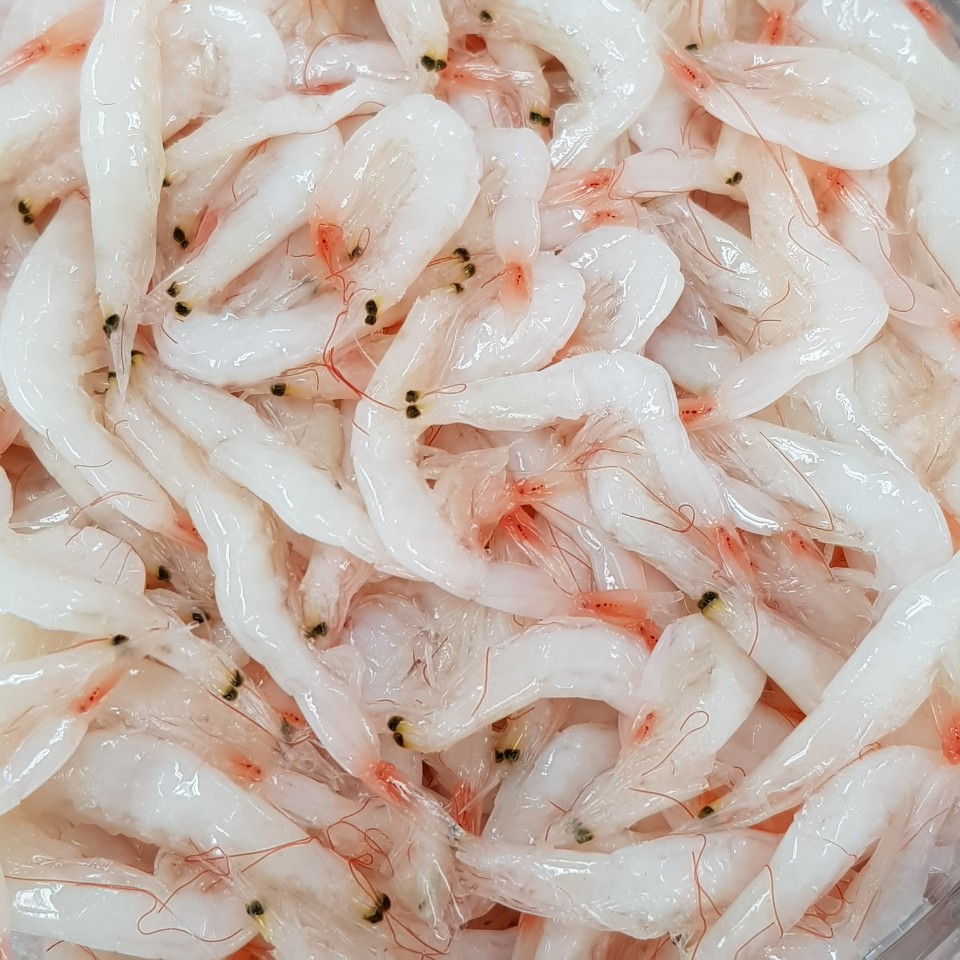 [영신젓갈식품] 오젓 500g 250g 국내산 저염 새우젓갈 오사리 새우젓 : 영신젓갈식품