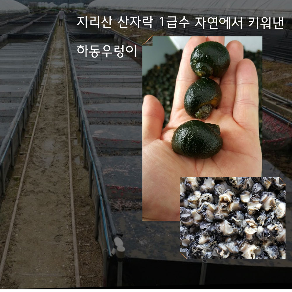 하동 우렁 추어탕 550g x 6팩 보양식 간편식 국밥 전통 추어탕 : 하동 우렁 추어탕